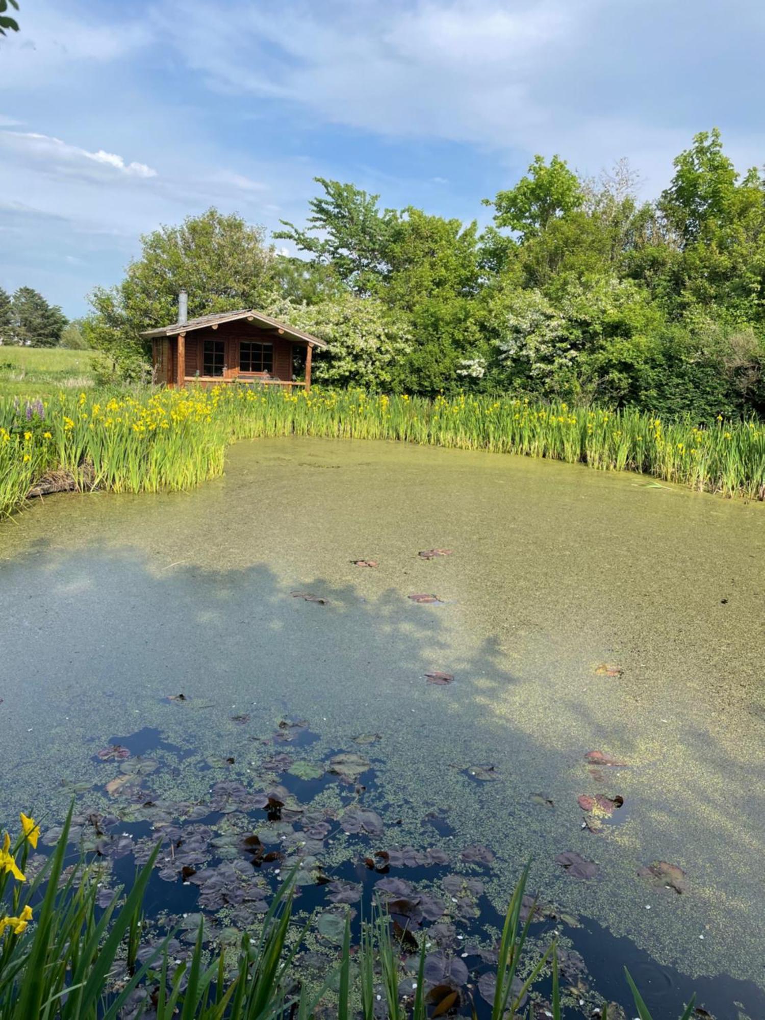 Lille Degnbol Holiday House Dış mekan fotoğraf