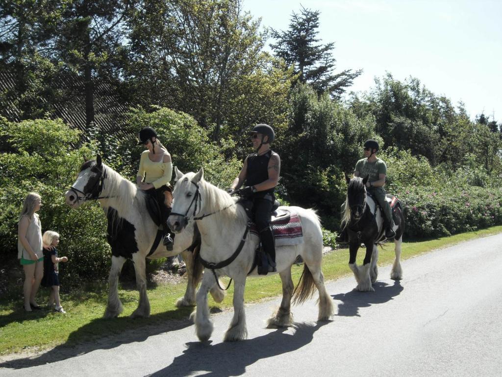 Lille Degnbol Holiday House Dış mekan fotoğraf