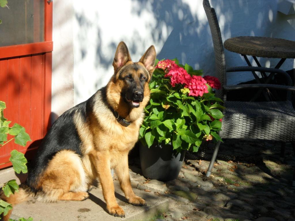 Lille Degnbol Holiday House Dış mekan fotoğraf